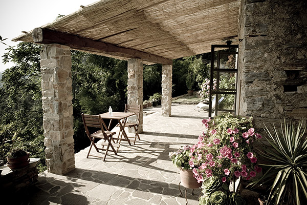 Terrasse pierre sous pergola avec fleurs