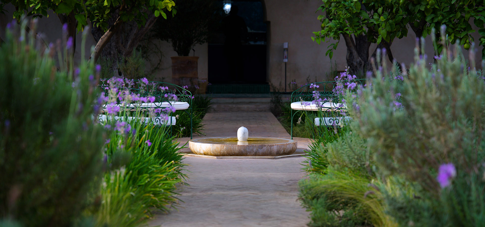 Jardin provençal la nuit