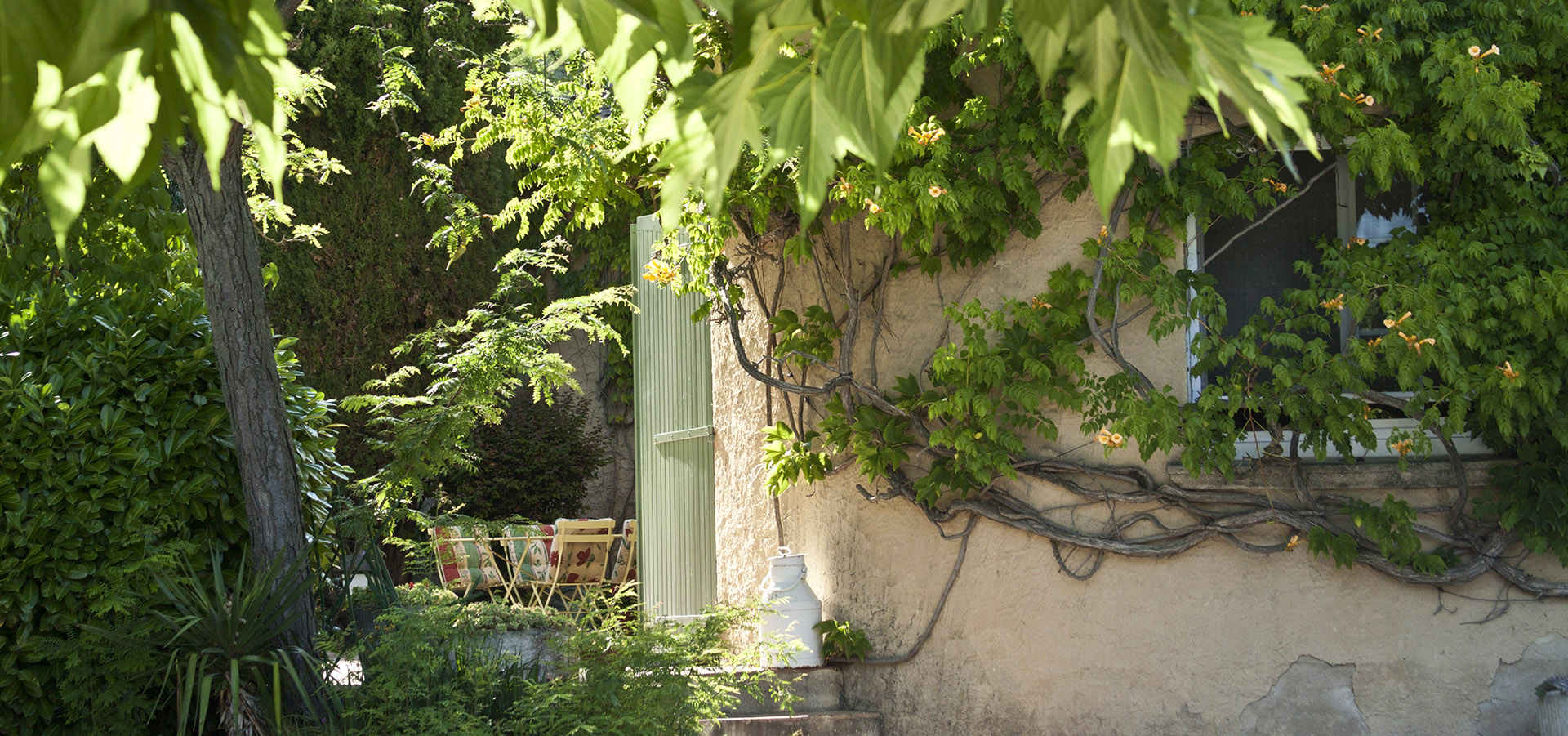 Jardin mas provençal